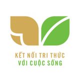 Mĩ Thuật lớp 4 KNTT