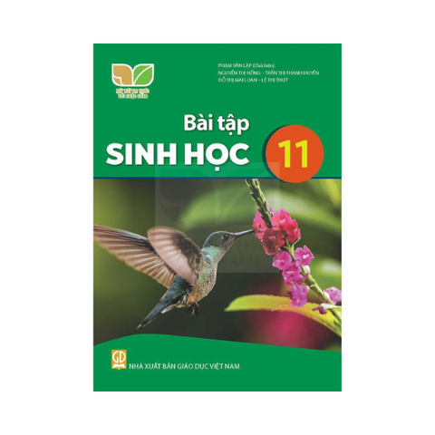 Bài Tập Sinh Học Lớp 10 KNTT