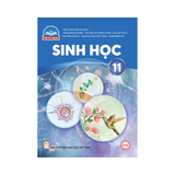 Sinh Học Lớp 11 CTST
