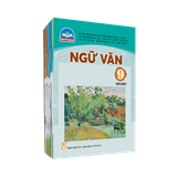 Bộ SGK Lớp 9 (Trường THCS Đoàn Thị Điểm-Cần Thơ)