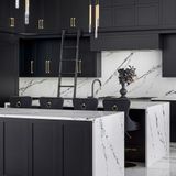  Project - Black Shaker 