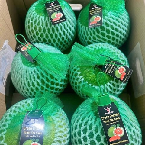  Bưởi Hồng Da Xanh Xuất Khẩu 