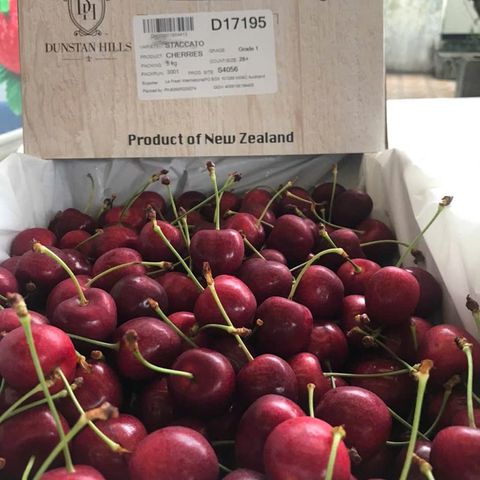  Cherry New Zealand 