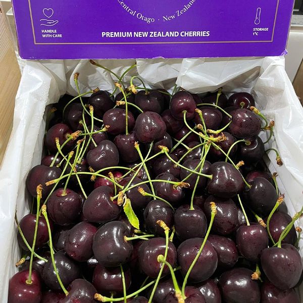 Cherry New Zealand