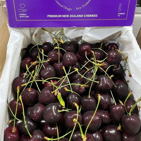  Cherry New Zealand 