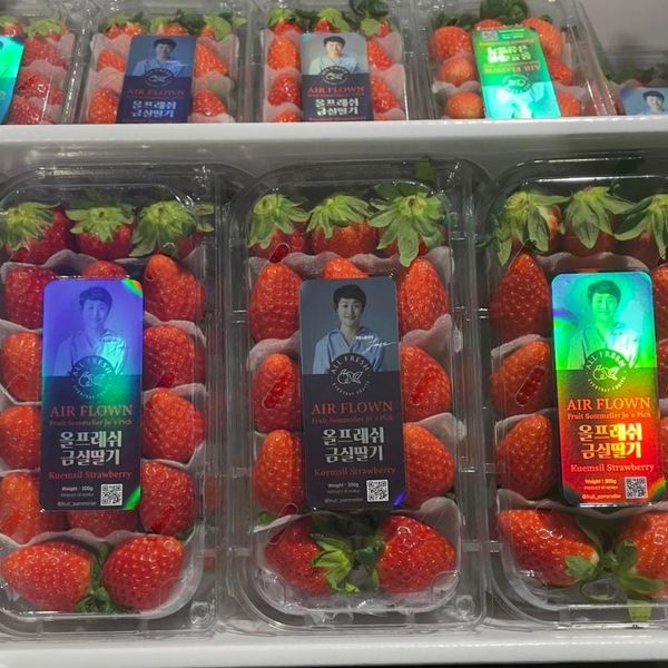 Dâu Tây Hàn Quốc VIP – Chuẩn Đẹp, Chuẩn Ngon