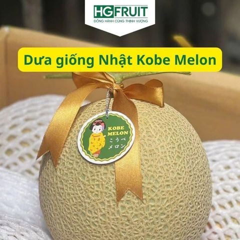  Dưa Giống Nhật Kobe Melon 