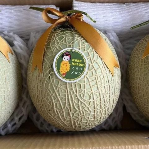 Dưa Giống Nhật Kobe Melon 