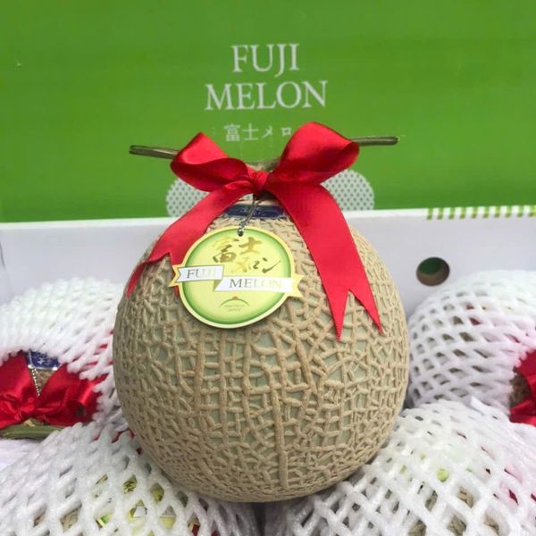  Dưa Giống Nhật Musk Melon 