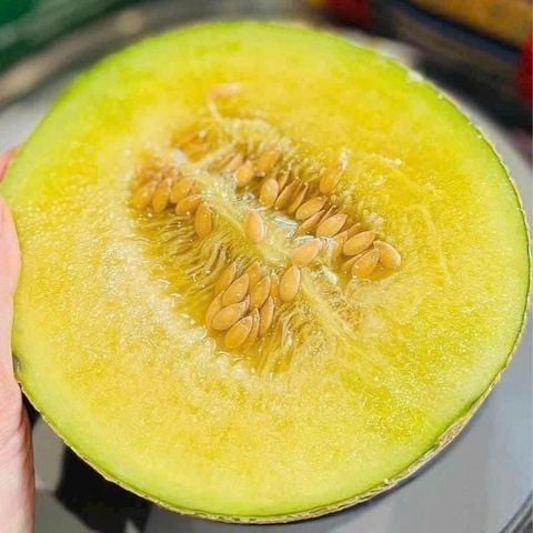  Dưa Giống Nhật Musk Melon 