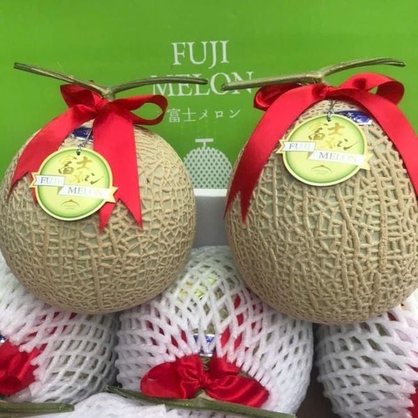  Dưa Giống Nhật Musk Melon 