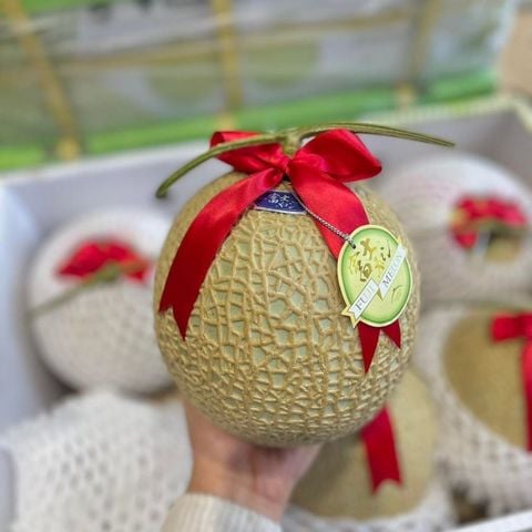  Dưa Giống Nhật Musk Melon 
