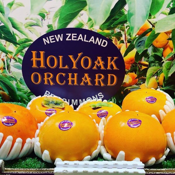 Hồng Hot House New Zealand