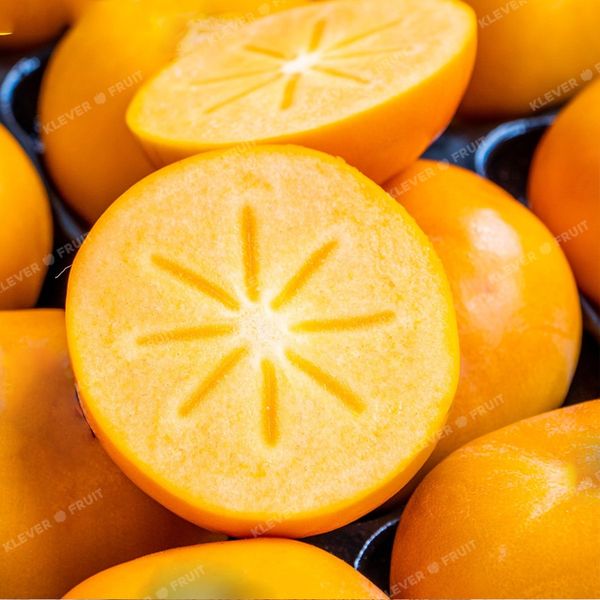 Hồng Hot House New Zealand