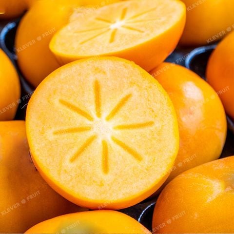  Hồng Hot House New Zealand 