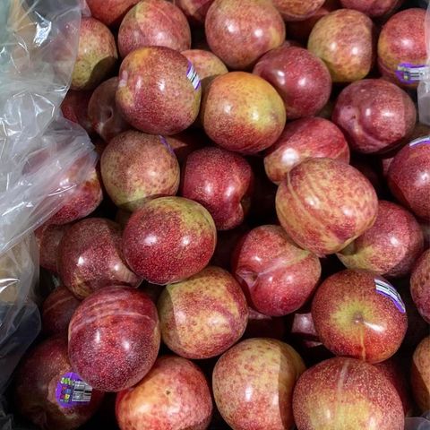  Mận Autumn Honey Úc 