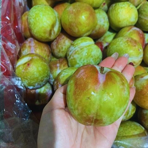  Mận Úc October Sun 