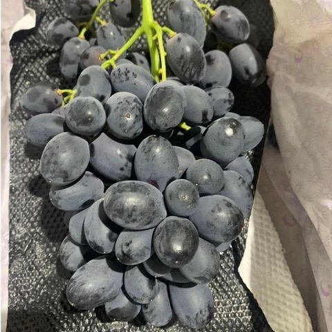  Nho Đen Kẹo Candy Crunch Úc 