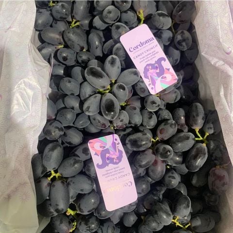  Nho Đen Kẹo Candy Crunch Úc 