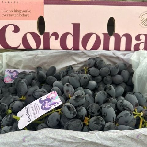  Nho Đen Kẹo Candy Crunch Úc 