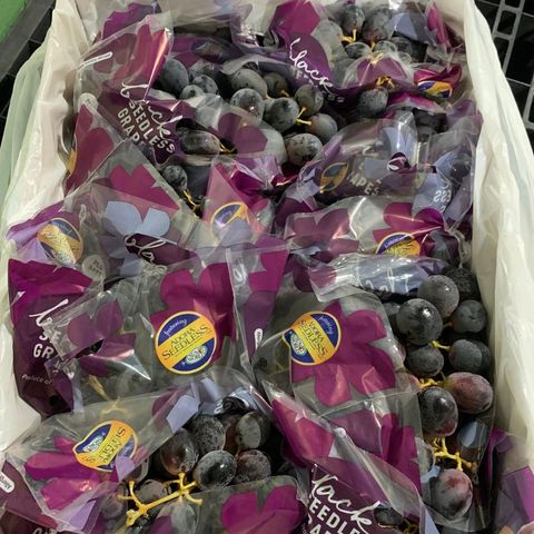  Nho Đen Không Hạt Úc 