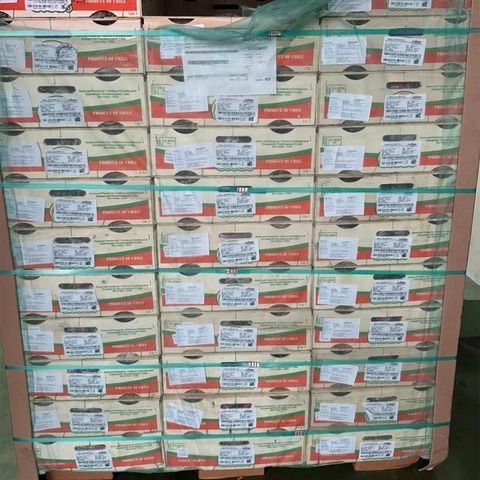  Nho Muscat Beauty Chile 