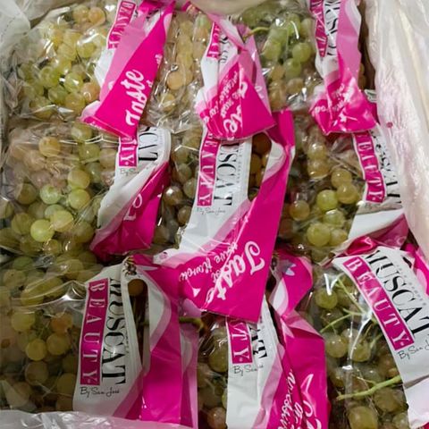  Nho Muscat Beauty Chile 