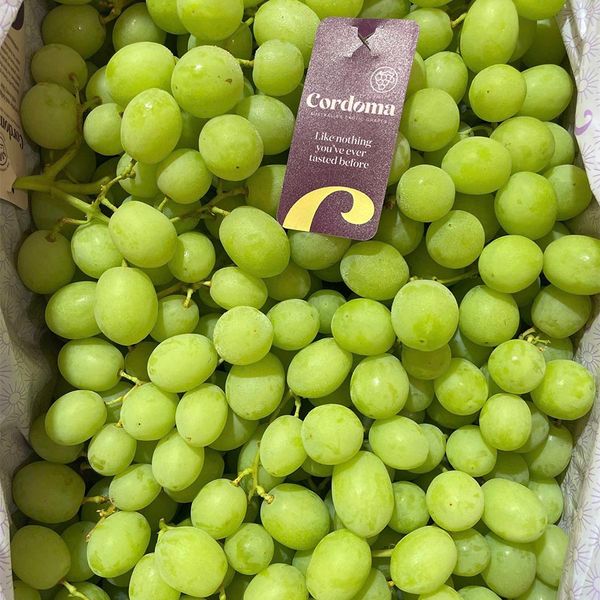 Nho Xanh Không Hạt Úc