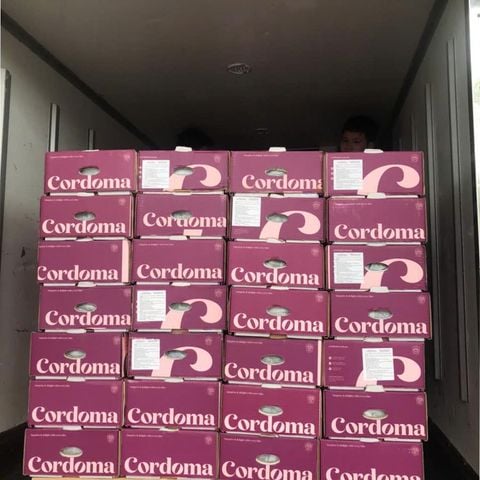  Nho Xanh Không Hạt Úc 