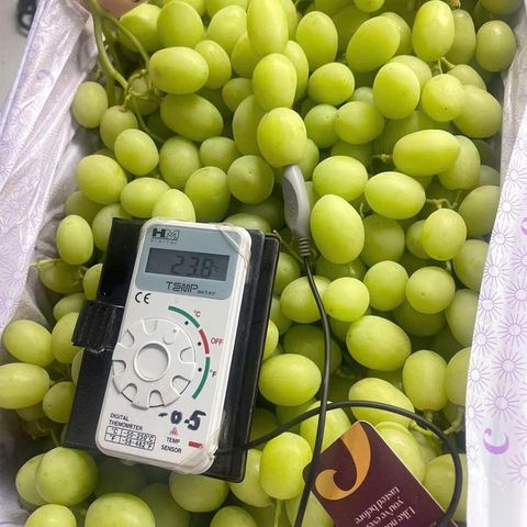  Nho Xanh Không Hạt Úc 