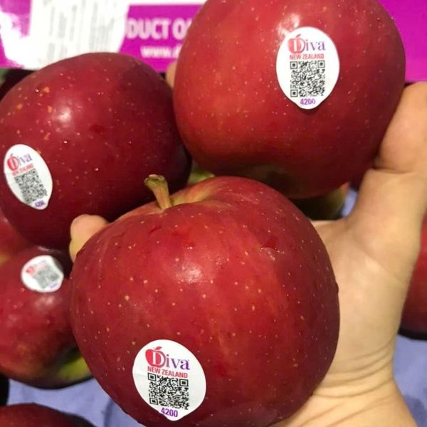 Táo Diva New Zealand 