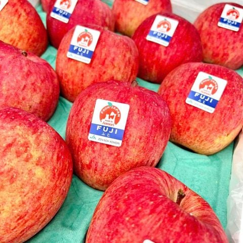  Táo Fuji Nhật Bản 