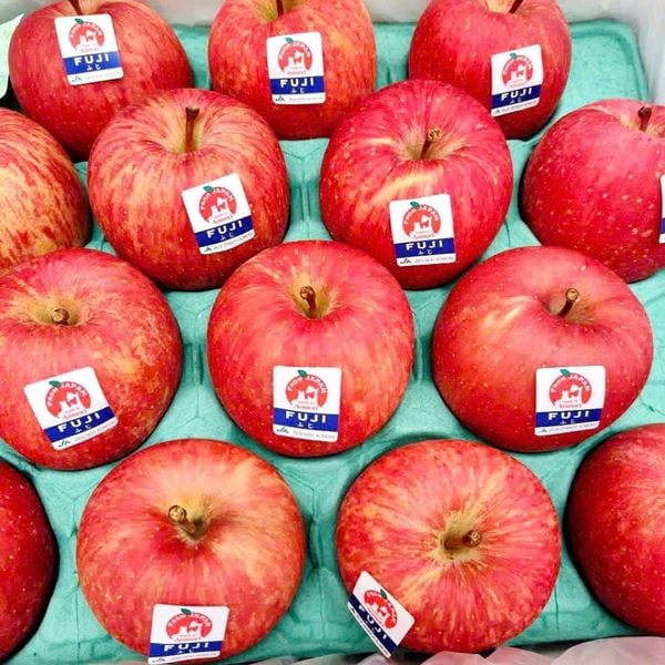 Táo Fuji Nhật Bản – Giống Táo Cao Cấp, Ngọt Giòn, Không Hóa Chất