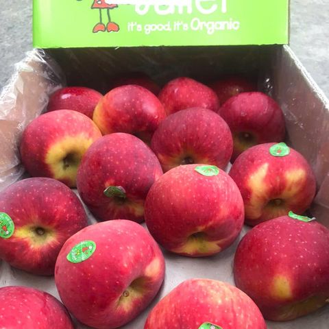  Táo Juliet Organic Pháp 