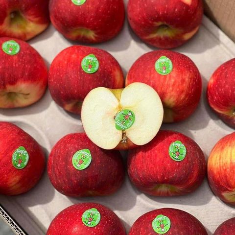  Táo Juliet Organic Pháp 