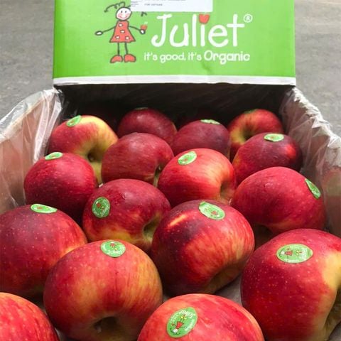  Táo Juliet Organic Pháp 