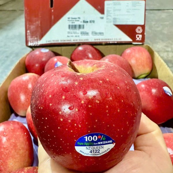 Táo Queen New Zealand – Giá Sỉ Tốt Nhất Từ Hoàng Giang Fruit