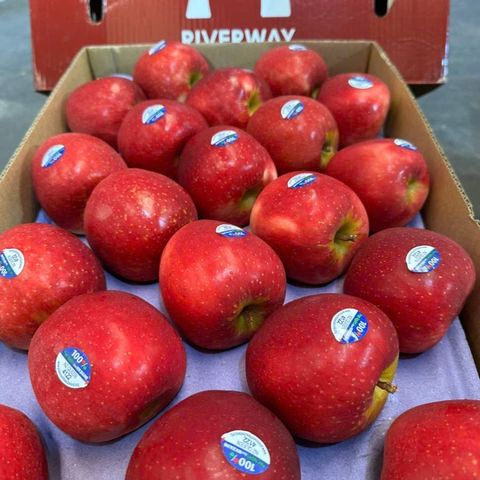  Táo Queen New Zealand 