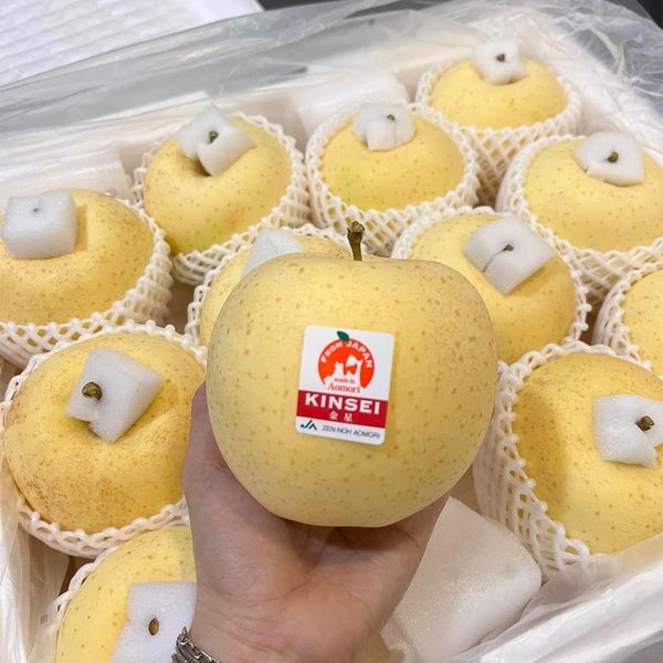 Hoàng Giang Fruit - Chuyên Cung Cấp Táo Kinsei Nhật Bản Nhập Khẩu Chính Ngạch