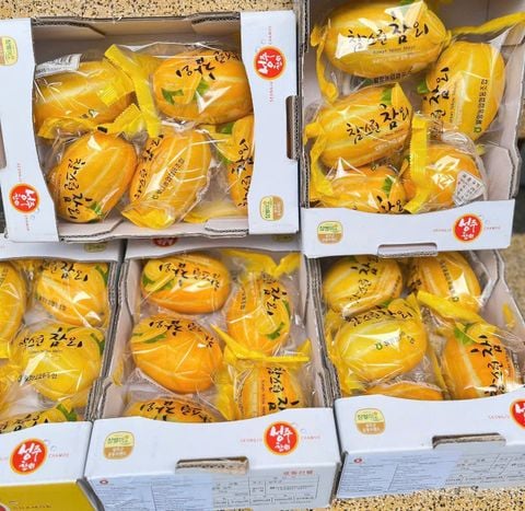  Dưa Lê Hàn Quốc 