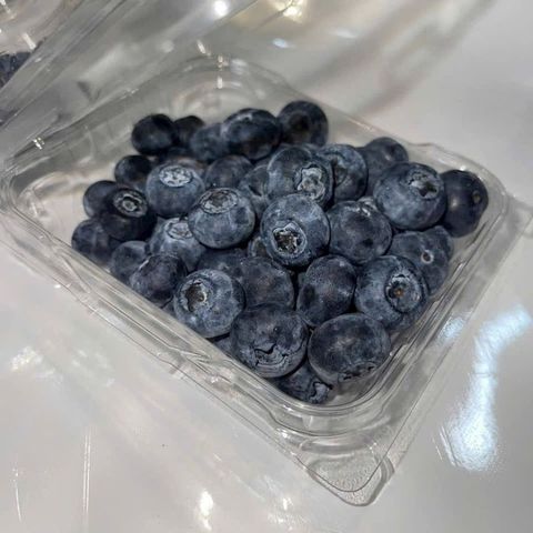  Việt Quất - Mỹ 