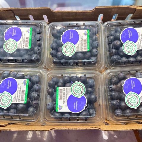  Việt Quất - Mỹ 