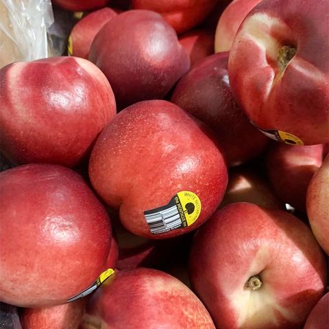  Xuân Đào Vàng Úc 