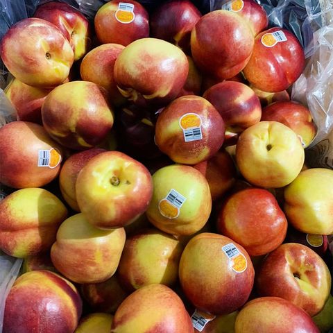  Xuân Đào Vàng Úc 