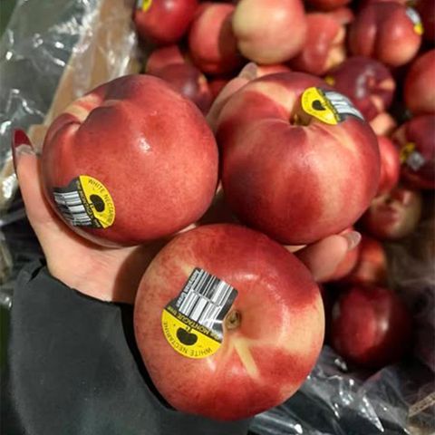  Xuân Đào Vàng Úc 