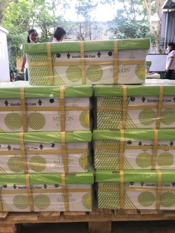  Dưa Giống Nhật Musk Melon 