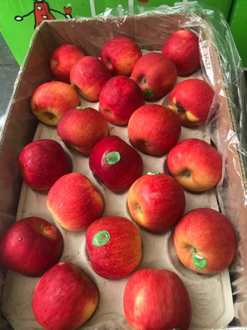  Táo Juliet Organic Pháp size nhỏ 