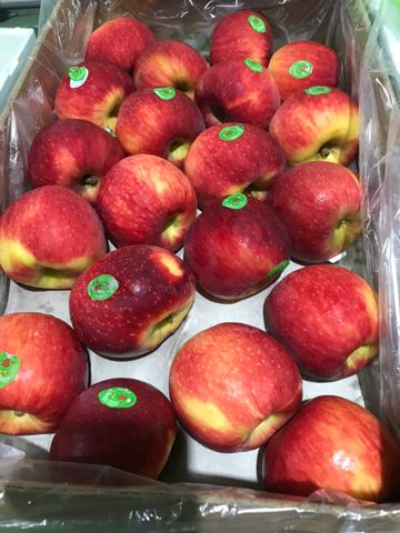  Táo Juliet Organic Pháp size nhỏ 