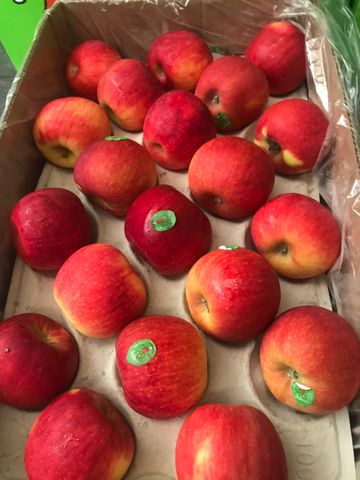  Táo Juliet Organic Pháp size nhỏ 