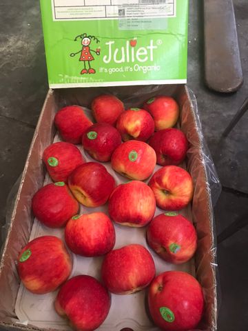  Táo Juliet Organic Pháp size nhỏ 